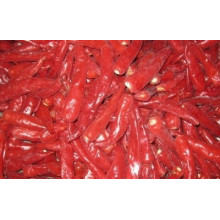 IQF frozen red chilli price in China red chilli